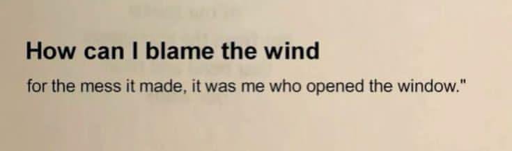 commonman_16's tweet photo. Owning our choices instead of blaming the wind for the mess we invited in. https://t.co/wiz2Ps0wL3