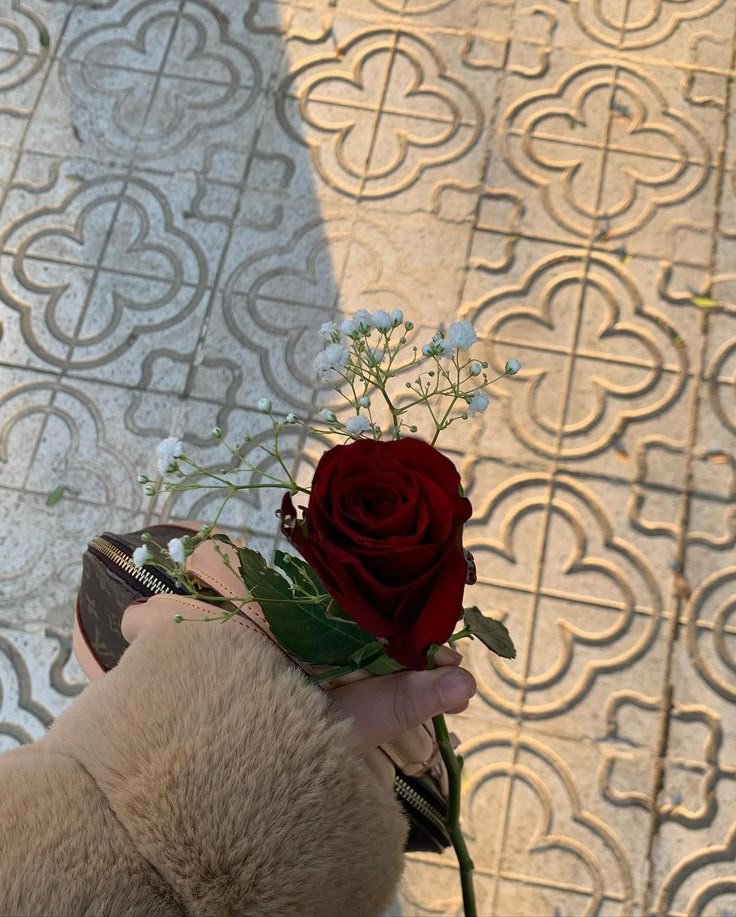 Flowerslovers44's tweet photo. https://t.co/3htVYDJs0m
