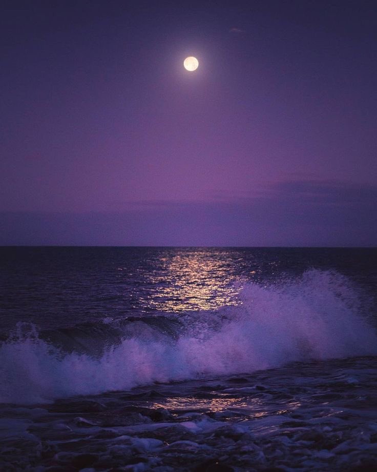 aestheticspost_'s tweet photo. https://t.co/7yA9fj79S9