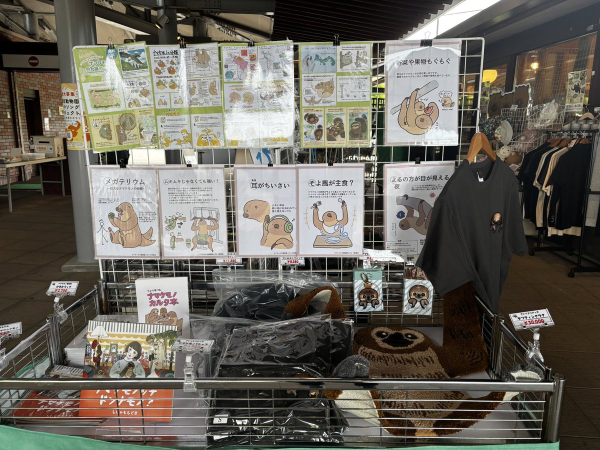 miraihouseshop's tweet photo. いつもご来店ありがとうございます🌻🦥
いよいよ本日から、ナマフェスが開催しております🙌
朝から非常に多くのナマケモノファンの方がお見えになっています❣️
ぜひ一度、ご来店くださいませ✨✨ https://t.co/qClhnsrdZq