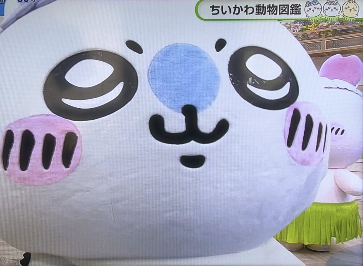 O0Ha8Na28's tweet photo. ノンストップにて出ていたカニちゃん集
Part.③ https://t.co/aWtjCyMcXj