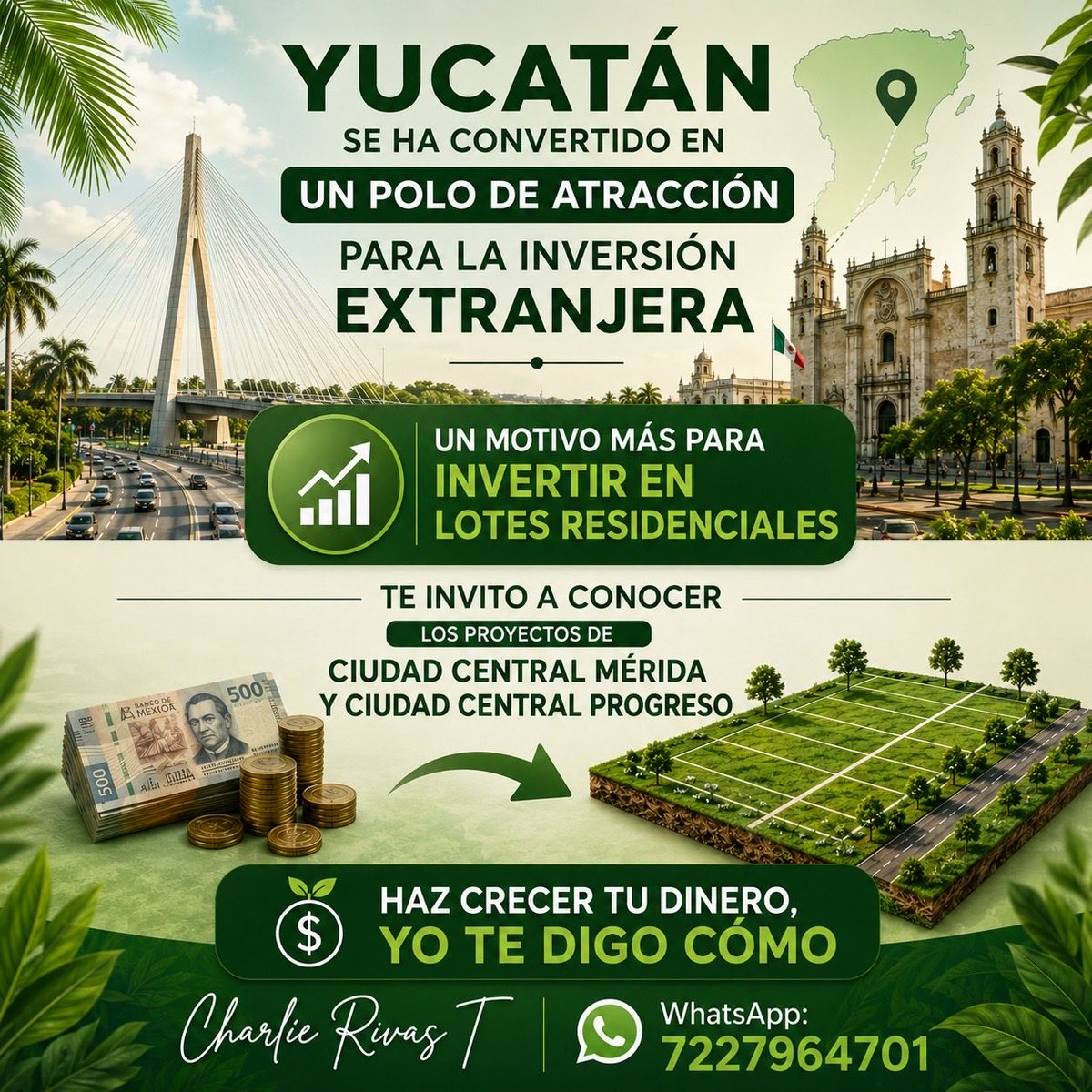 CharlieRivasT's tweet photo. Yucatán sinónimo de crecimiento. https://t.co/NFTAnYcrII