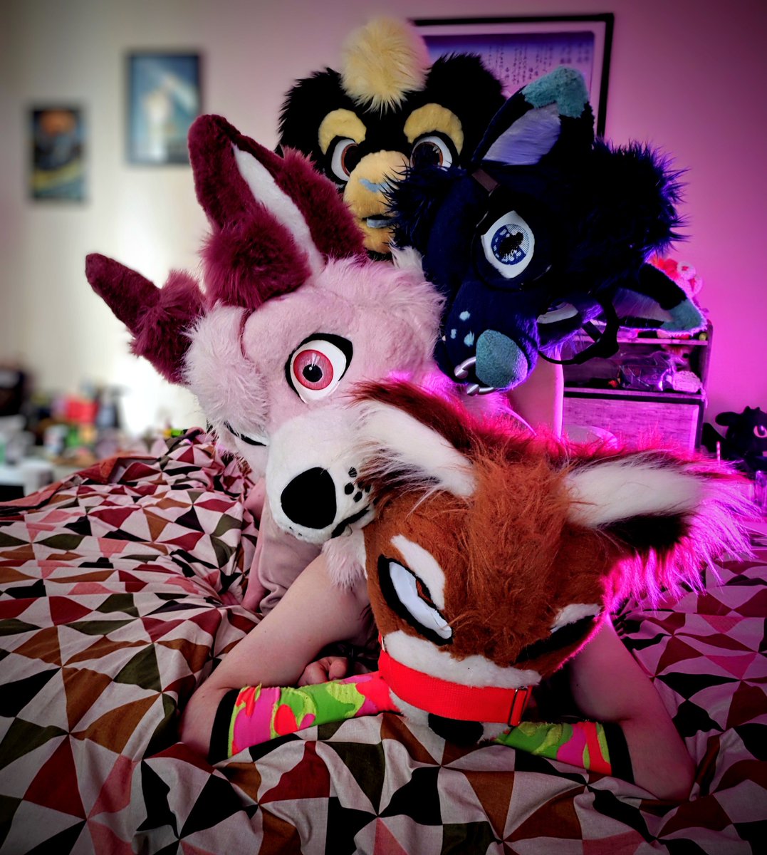 whisky_wah's tweet photo. Twink stack ~ 

Ft @RexthenurseAD @AshtonAurinko and Olliebun 

#twink #femboy #furryAD #Mursuit #murrsuit #stack #twinktuesday https://t.co/BwNJzsTEWT
