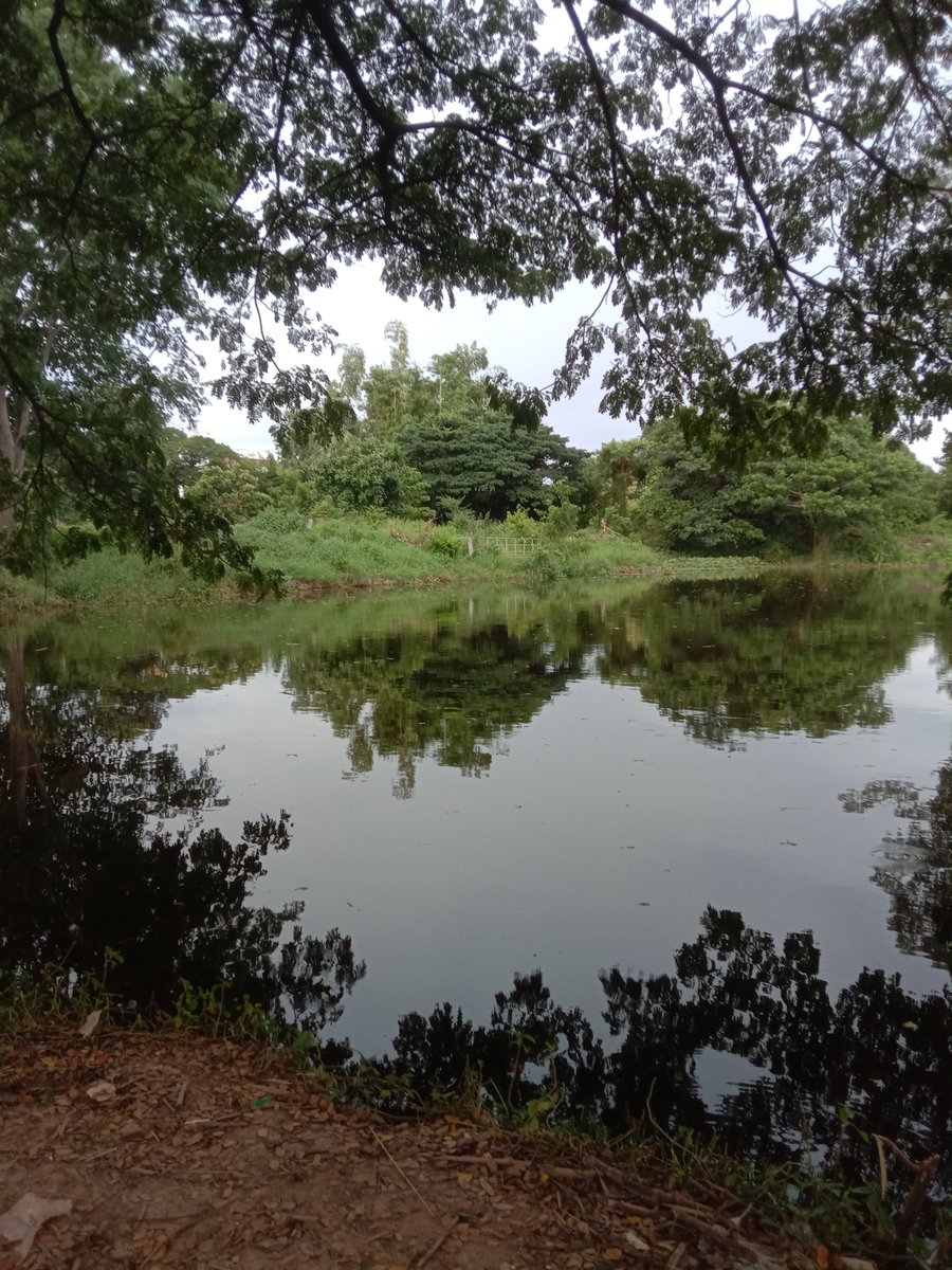 kk6969695656's tweet photo. บรรยากาศน่า out door สุดๆ https://t.co/VFS5cn49B4