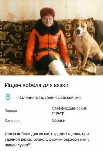 TheBalkanDevil's tweet photo. @tokhaahaha https://t.co/S2wf6Ce5Tm