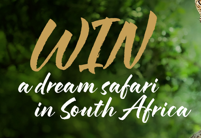 SimplyPrizesWin's tweet photo. You know what I'm going to say! Yep the competitions are ready!
With top notch prizes like £10,000 cash, trips to Tuscany, Thailand and South Africa,  a 75 inch TV and a Renault Clio car!
Very best of luck to all!
#simplyprizes #win #giveaway #competition
https://t.co/GZAq6ZQcqd https://t.co/CQ63tkzz2s