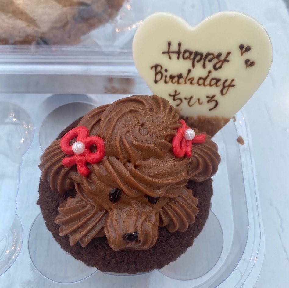 chi0654932's tweet photo. 8/18（火）ゴールデン街3番街、ハモンドオープン！待ってる！🥰

19日に日付変わったら、年重ねちゃう！！🙃
誰か一緒に居てくれるといいな！！
のもーよー！！

これは去年の誕生日のわんちゃん🐶 https://t.co/h1ApveJX4y