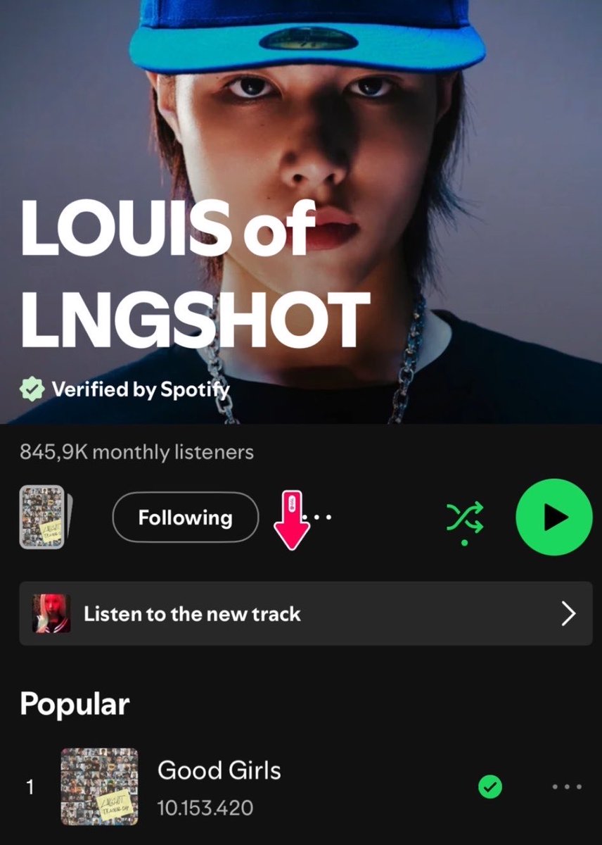 rylouette's tweet photo. Apparently, LOUIS’s Spotify account got hacked and an unrelated song has been incorrectly added to his profile. Please fix this issue! @Spotify @SpotifyCares @MOREVISIONKR @LNGSHOT4sho https://t.co/hHPSyJ2aCc