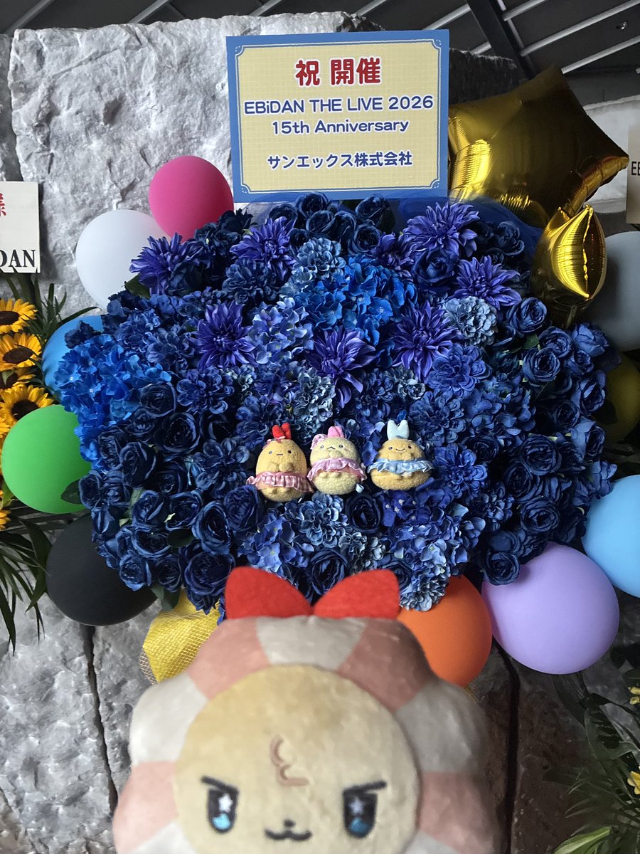ebippe_ebidan's tweet photo. こんなところに🦐💫🩷

#えびっぺエビライのおもいで
#エビライ2026 #っぺ https://t.co/p36b6GEG9R