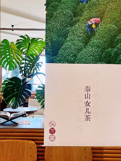 ErHao671's tweet photo. Chinamaxxing的精髓之一，就是“喝热水”——而泰安人直接把这件事做到了极致。找一家漂亮小店坐下来，点一壶泰山女儿茶，搭配面包点心，开启一段下午茶时间。窗外是泰山巍峨的轮廓，手边是冒着热气的茶杯，ins文案很可能写一句：Not just drinking tea, I'm Chinamaxxing. # 好客山东 # Taian https://t.co/MVjNYYDhtv