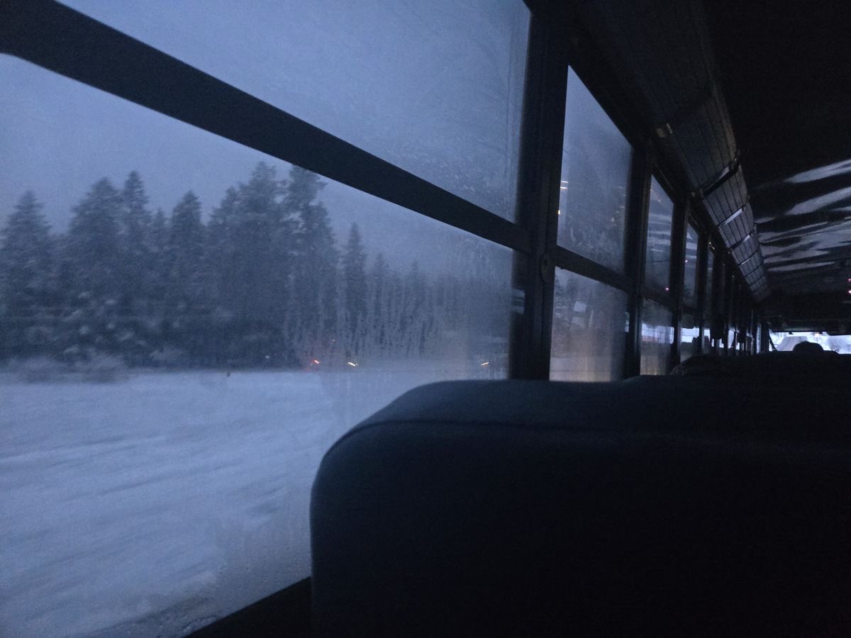 meowrexia's tweet photo. i miss starving in winter during school time, it was weirdly comforting https://t.co/Q73zTSb308