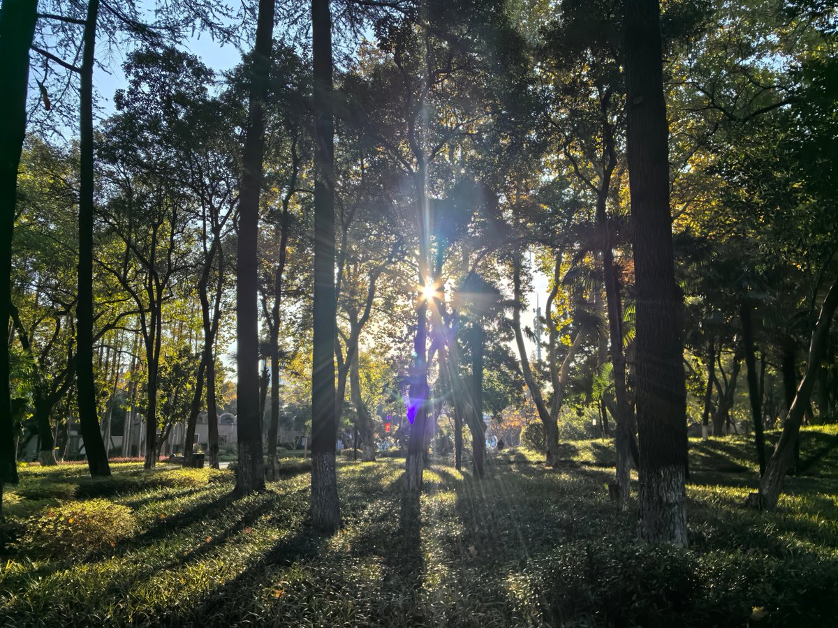 Grenou1's tweet photo. New to photography Start with mastering natural light—shoot during golden hour (1hr after sunrise/before sunset) for soft, warm tones that make every shot pop! ， https://t.co/g5psON4wsV