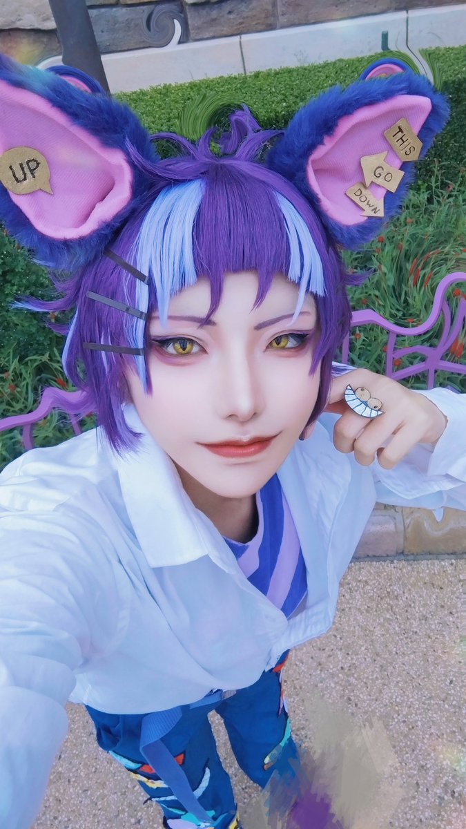 toki2_000's tweet photo. 去年のDハロの写真
猫多すぎ🤨 https://t.co/itWUImuXPP