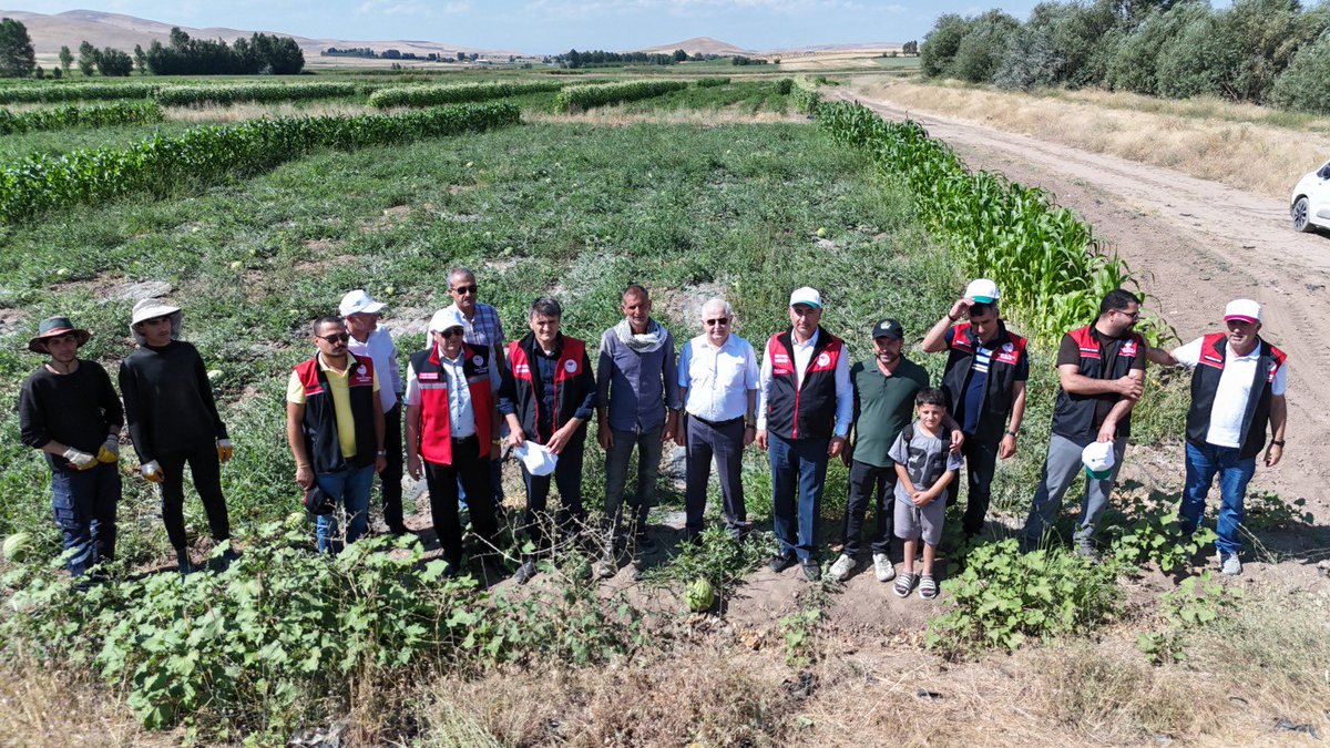 vantarimorman65's tweet photo. Yumurtatepe Mahallesi’nde Sarı Karpuz Hasadı Gerçekleştirildi 🍉🌱

Tuşba ilçemize bağlı Yumurtatepe Mahallesi’nde sebze üretimi yapan çiftçimiz Muharrem Gül’ün işletmesinde sarı karpuz hasadı gerçekleştirildi.
@ibrahimyumakli @tcvanvaliligi @trgyssmn https://t.co/4AMPvyUC16