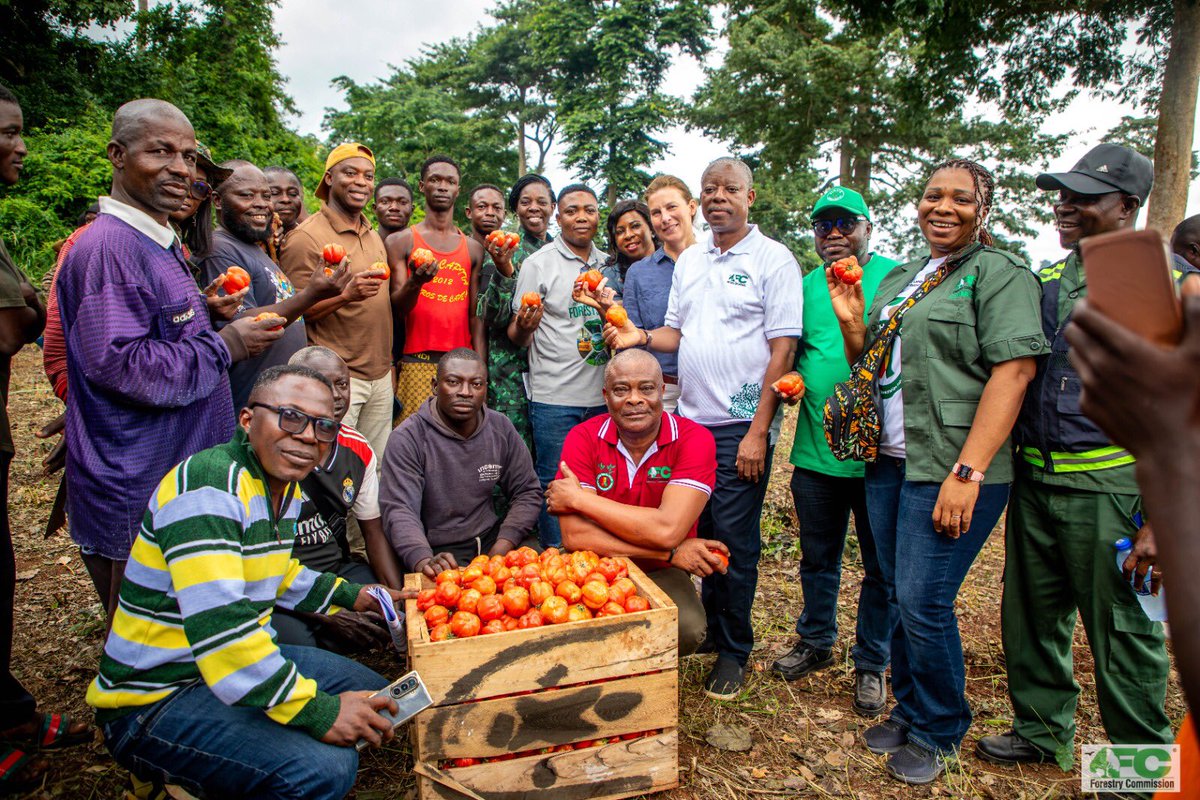 forestryghana's tweet photo. FC / TULLOW EMBARKS ON FIELD VISIT TO MONITOR REDD+ PROJECT IN TWO REGIONS
 
A joint team from the Forestry Commission (FC) and Tullow Ghana (TG) undertook a two-day field visit to planting sites under the Forestry Commission /Tullow Reducing Emissions from Deforestation Project. https://t.co/bPuwV3K7yW