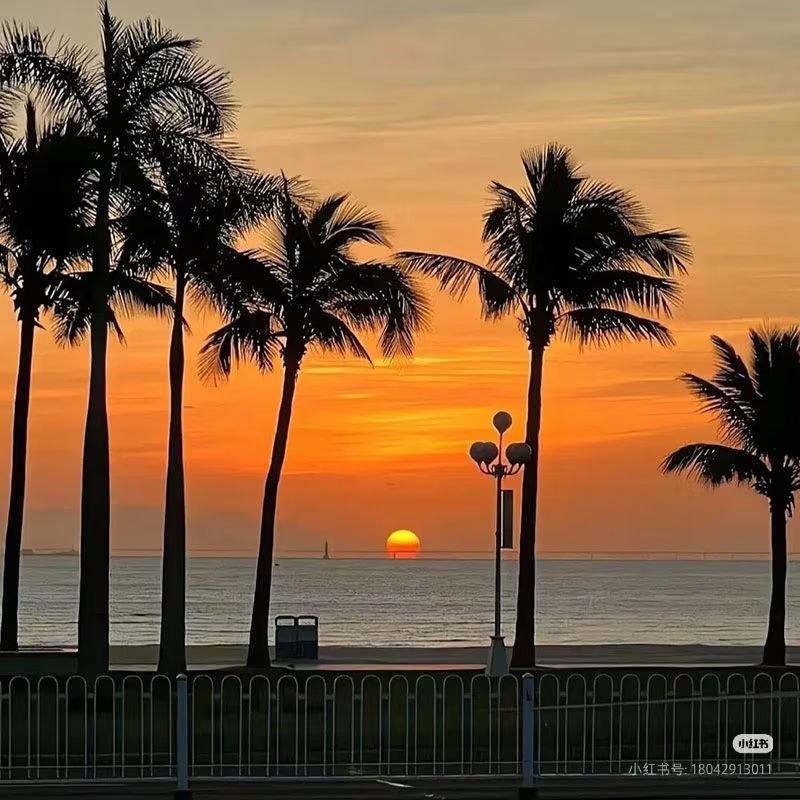 mLA3Bjt's tweet photo. Never stop dreaming.Keep your faith strong.Strength grows in struggle.Keep your ambition high.Keep moving ahead. https://t.co/A7kWnvUK1B