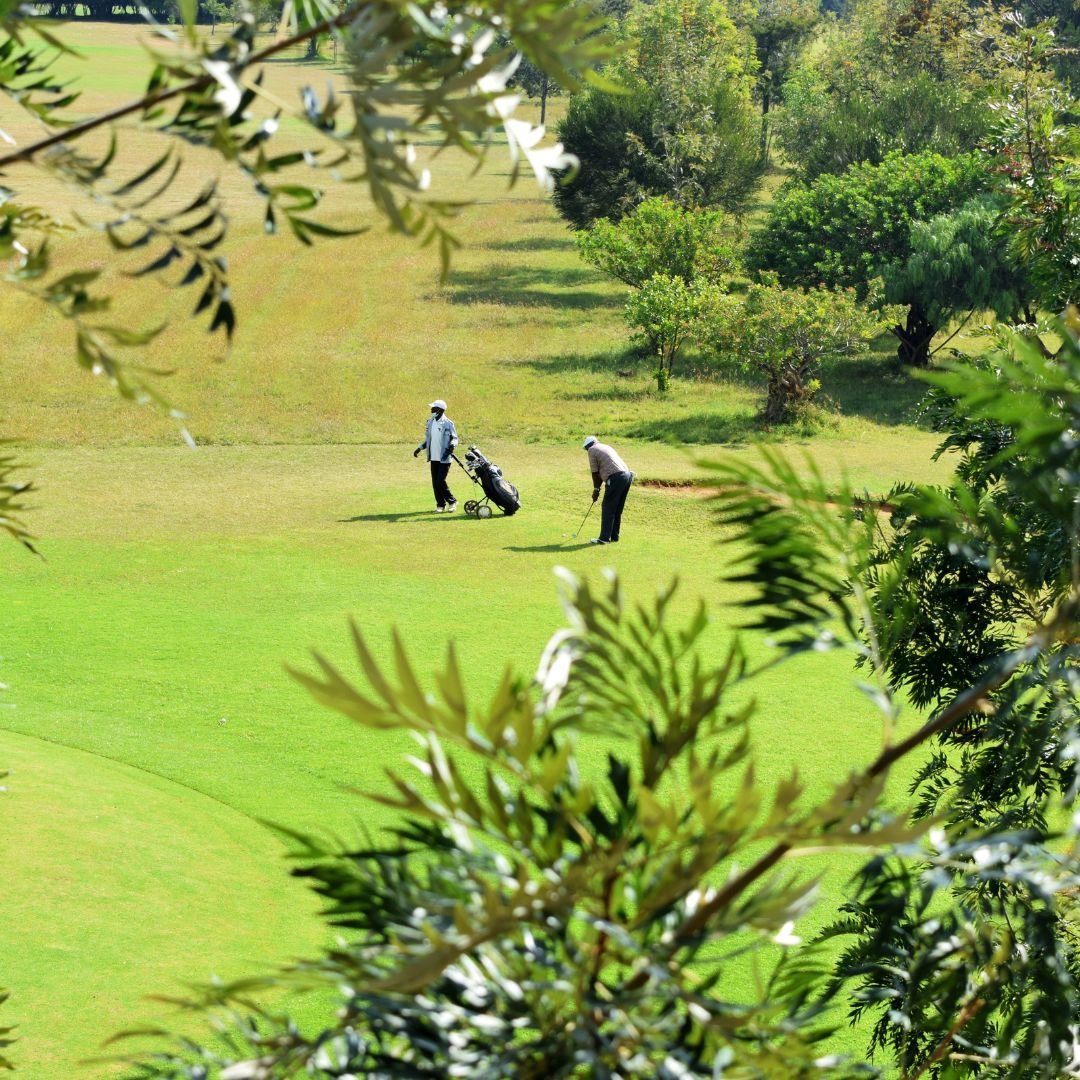 CallmeSonik's tweet photo. Nanyuki this morning 😎✨

📍Bongo Apartments, overlooking Nanyuki Golf Course.

2 &amp; 3 all-en-suite bedroom apartments.
 
Kid friendly environmen 💯

DM. https://t.co/bw5tJ1nyl7