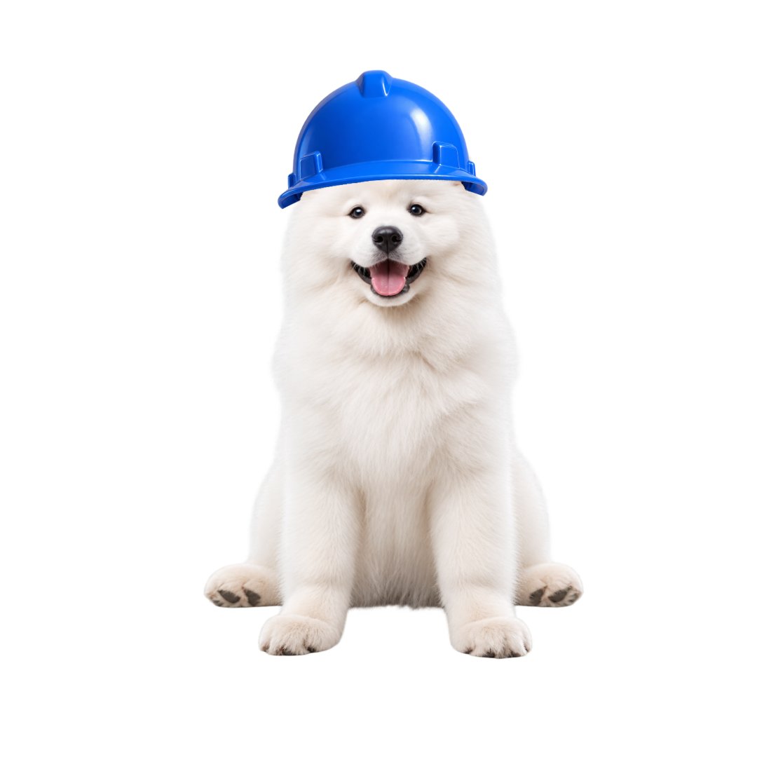 0xbasedog's tweet photo. @baseapp @CryptoKaleo So you like dogs? https://t.co/wQJky5Kidf