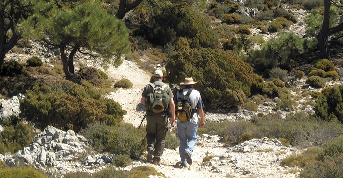 VentanaVAND's tweet photo. 🥾🏞️ Sendero El Lucero

Itinerario emblemático del Parque Natural Sierras de Tejeda, Almijara y Alhama. Un recorrido de alta montaña con paisajes escarpados y vistas panorámicas inolvidables. 🌿✨

📍 #VVisitante https://t.co/JxY9D6cKyW https://t.co/o18Z7VmgOt