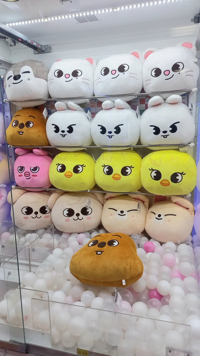 GiGO_Funabori's tweet photo. 🌟キャンペーン情報🌟

💖SKZOO × GiGO💖
SUMMERキャンペーン
本日より開催‼

対象のクレーンゲーム機に500円投入ごとに
「SKZOO紙うちわ」をランダムでプレゼント🎁

ぜひ、GiGO船堀へお越しくださいませ⭐

#StrayKids #スキズ #SKZOO #GiGO #GiGO船堀 https://t.co/BkSeGLnMU0