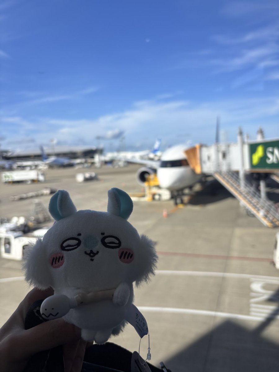 nirobtc's tweet photo. ラスベガス行ってきます‼️ https://t.co/0NGwVJ4GIi