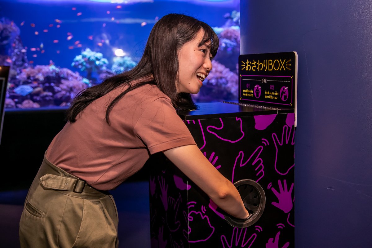 oricon's tweet photo. サンシャイン水族館、夜間特別営業
「性いっぱい展」2年ぶり開催
https://t.co/TFEPh0IGIb
⠀
生き物たちの「性」がテーマの夜間イベント「まだまだ♡性いっぱい展」。累計約12万人を動員した人気企画の第5弾。繁殖行動や求愛、仔育てなど、生き物たちのディープな世界を体験しながら知ることができる https://t.co/ZuswhtjpAj