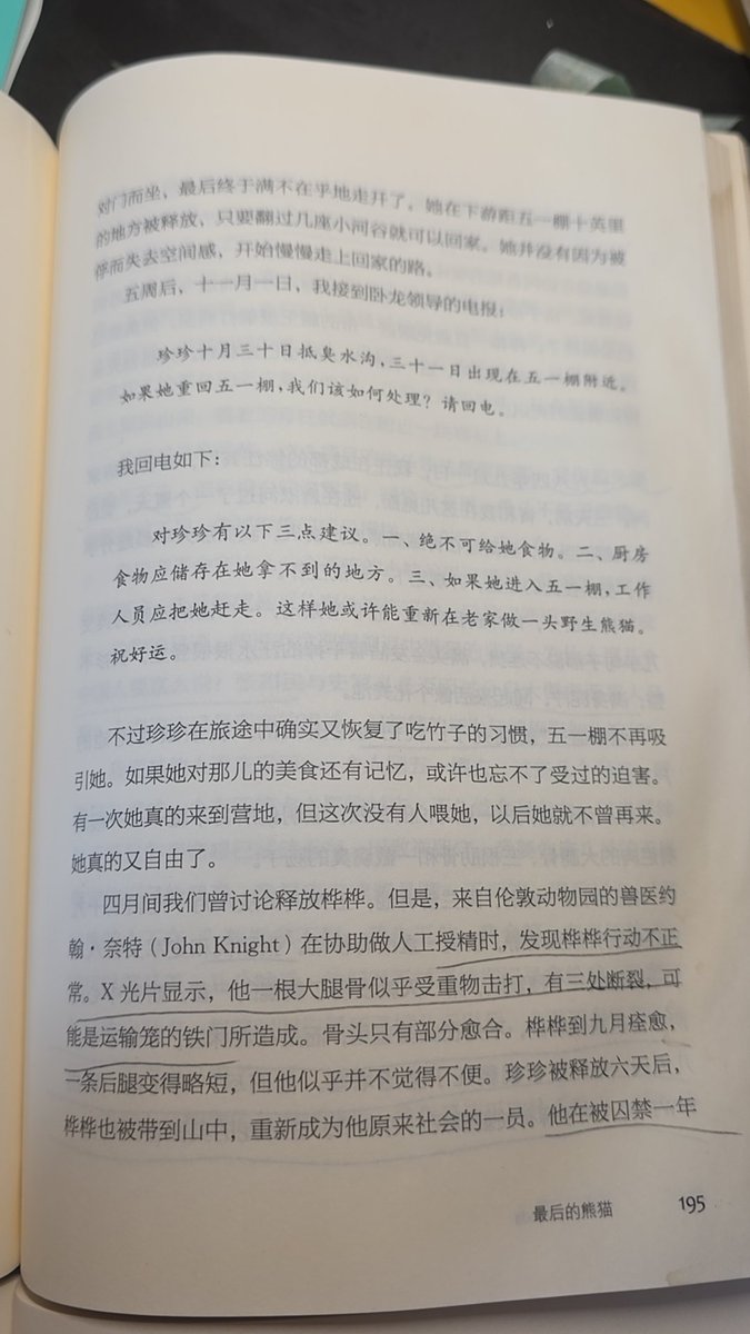 mzq3x_ylp29's tweet photo. 👉
그들은 전문가들의 만류에도 불구하고 ‘젠젠’이라는 판다를 야생으로 돌려보내 관찰하는 것을 거부했습니다. 젠젠의 이웃은 9개월 동안 갇혀 있었던 ‘화화’였습니다. 두 판다는 학대를 받고 고통을 겪었으며, 존엄성마저 완전히 짓밟혔습니다. 화화는 대퇴골이 세 군데나 골절되었습니다. https://t.co/UklomUPk52