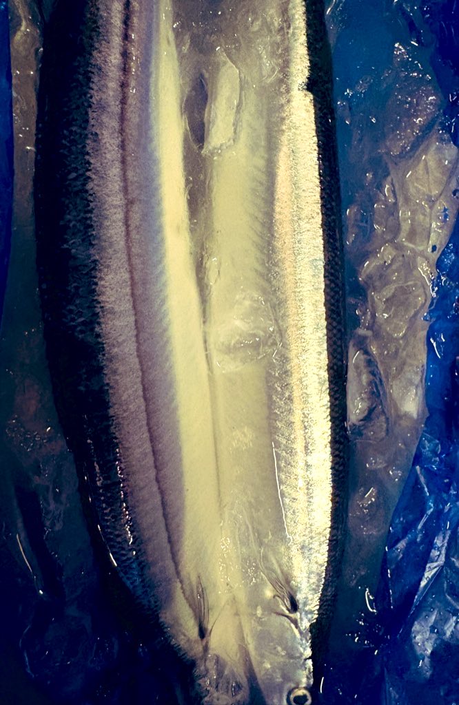 junmaitarou's tweet photo. 今日も色々入荷してます
秋刀魚は高くて
買えませんでした
よろしくお願い致します https://t.co/8I0EIKrFRe