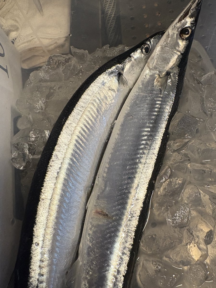 junmaitarou's tweet photo. 今日も色々入荷してます
秋刀魚は高くて
買えませんでした
よろしくお願い致します https://t.co/8I0EIKrFRe