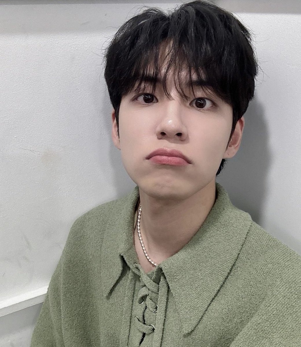 _nocoke's tweet photo. 원필이 이런 강아지 홈캠 구도
너무 귀여움 .. ♡♡♡ https://t.co/o9bPzvD9gB