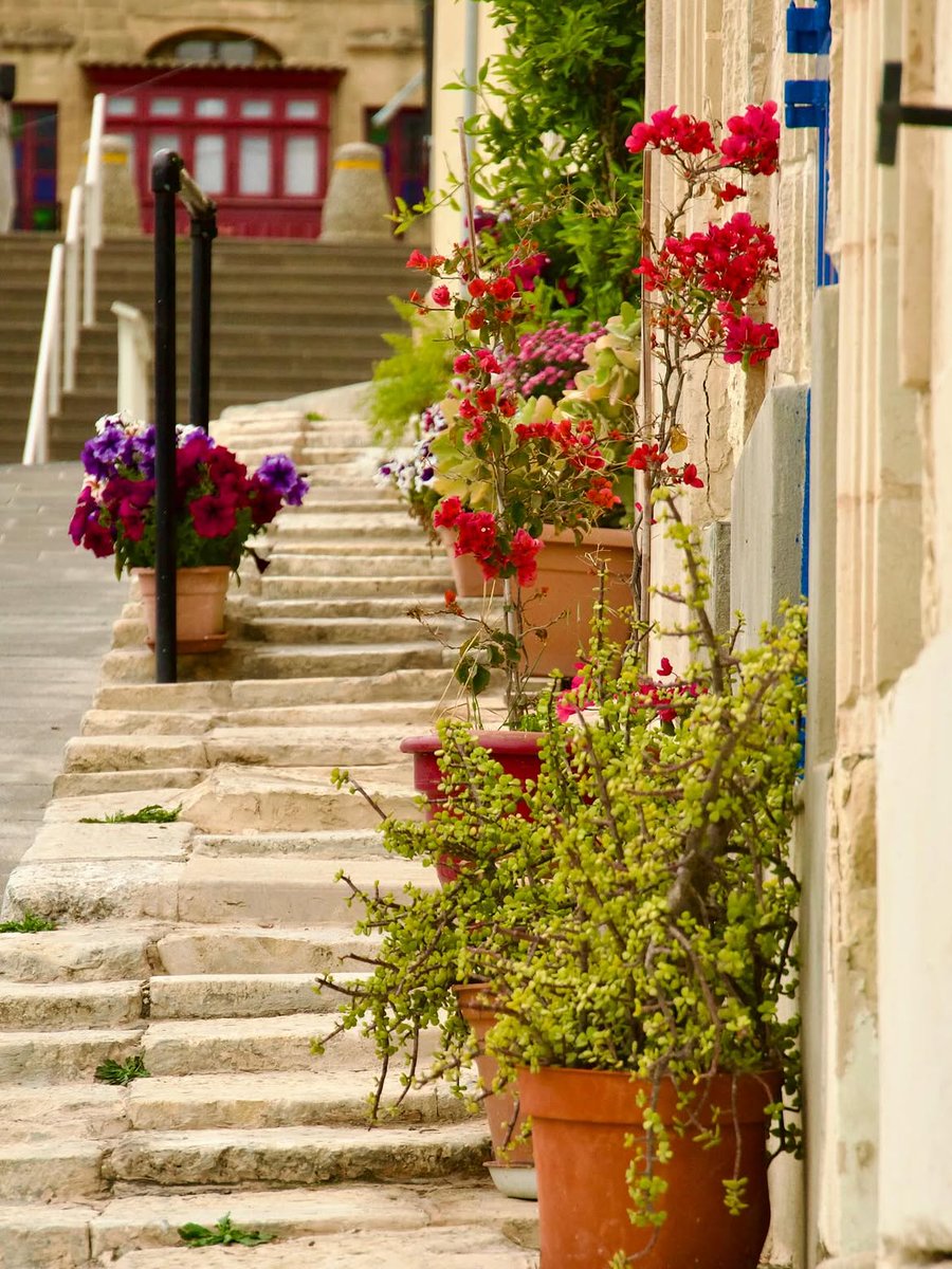 VisitMalta's tweet photo. Step into centuries of history at the Three Cities 🤩✨[📷 https://t.co/8vlKUK98xg ]
#VisitMalta #Malta #heritage #instapic #exploremore https://t.co/IbPFUvGMBD