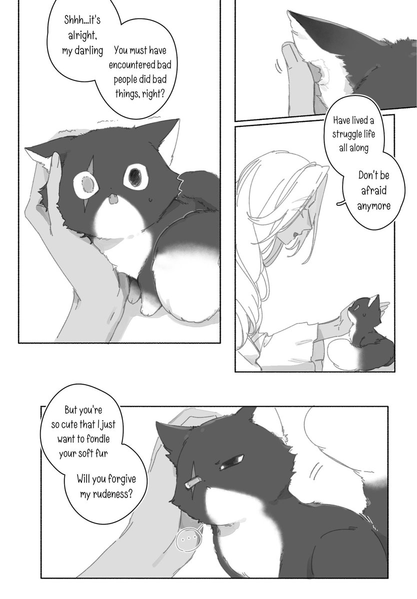 Oyki0000013's tweet photo. Meow scratch
(1/5) https://t.co/8d7aANO3pd