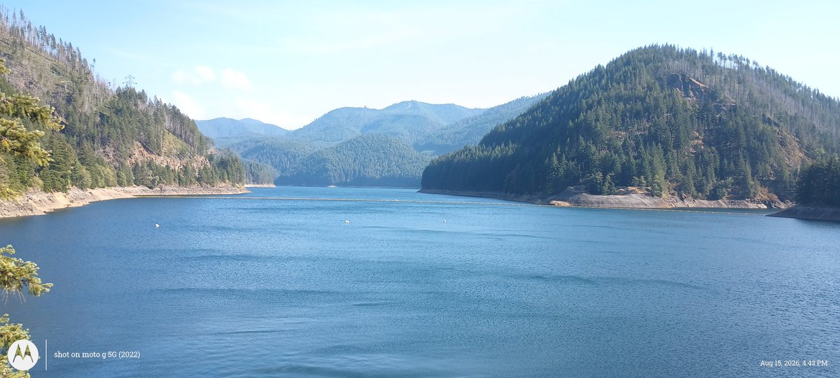 RedfishRooster7's tweet photo. @atrupar Life after the devastating fire. Detroit Dam, Oregon https://t.co/ocmxuZtK68