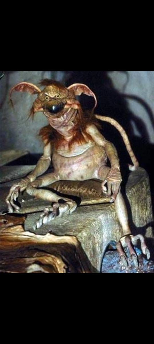 CC_uevas's tweet photo. @Dreamyduusk It is a Monkey-Lizard 
Just like the one Jabba the Hutt had as pet. https://t.co/Y983uDcnkf