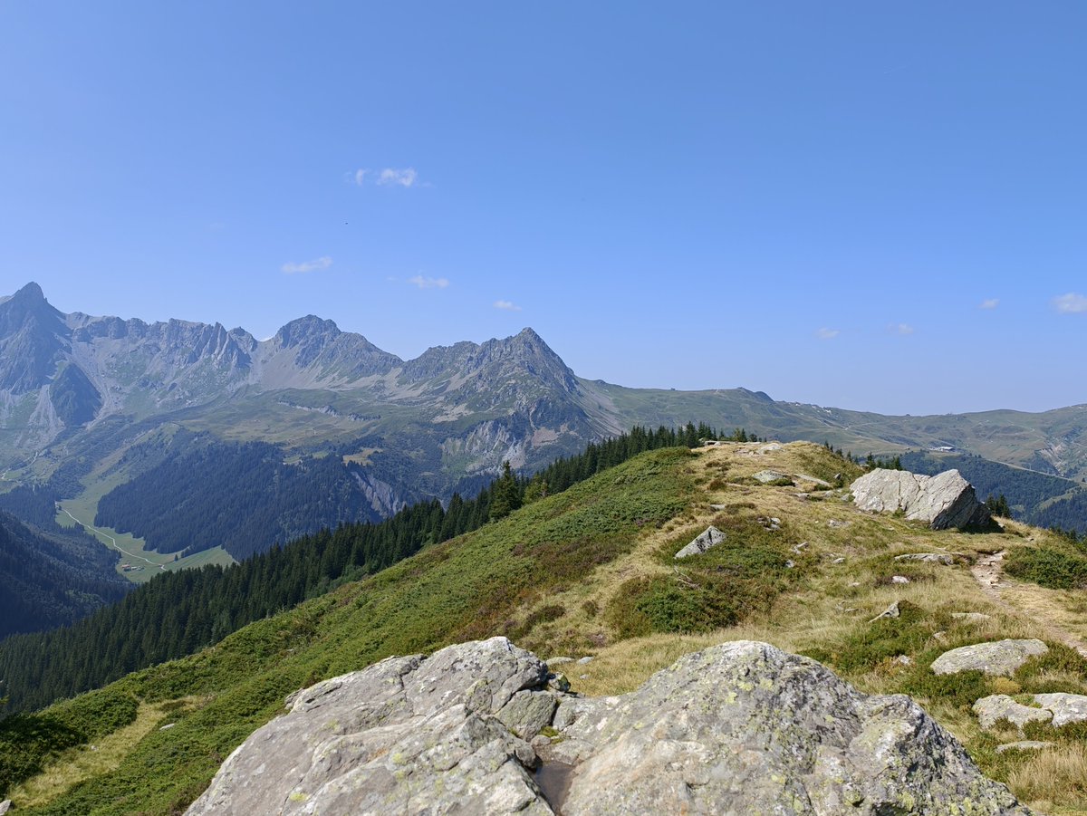 Zincou_'s tweet photo. Très jolie randonnée dans les Alpes au pied du #MontBlanc avec des paysages grandioses, plus de 13km et 1000m de dénivelé positif, entre foret et alpages une vraie merveille !  #ShotonOPPO  #SuperEveryMoment #ShotOnSnapdragon #OPPOFindX9Ultra @OPPOFrance @oppo @Snapdragon_FR https://t.co/L1N1cD8Cqi