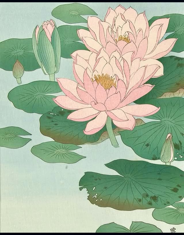 MenschOhneMusil's tweet photo. Nymphéas (1920-30) Ohara Koson. https://t.co/cL1nzsYJzO