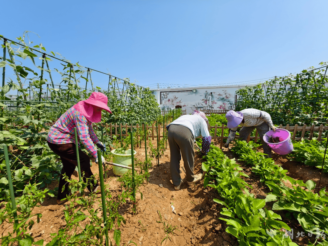 jaskirat1904's tweet photo. Join our community garden workday this Saturday! Plant veggies, meet neighbors, and grow green together—free snacks provided! https://t.co/QxjtuoeyGW