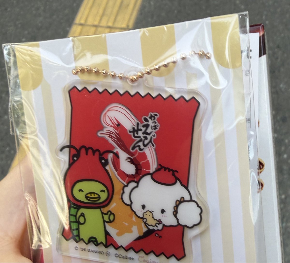 hidamaripro's tweet photo. なんかいたのでお迎え https://t.co/2YOyV9Mgj4