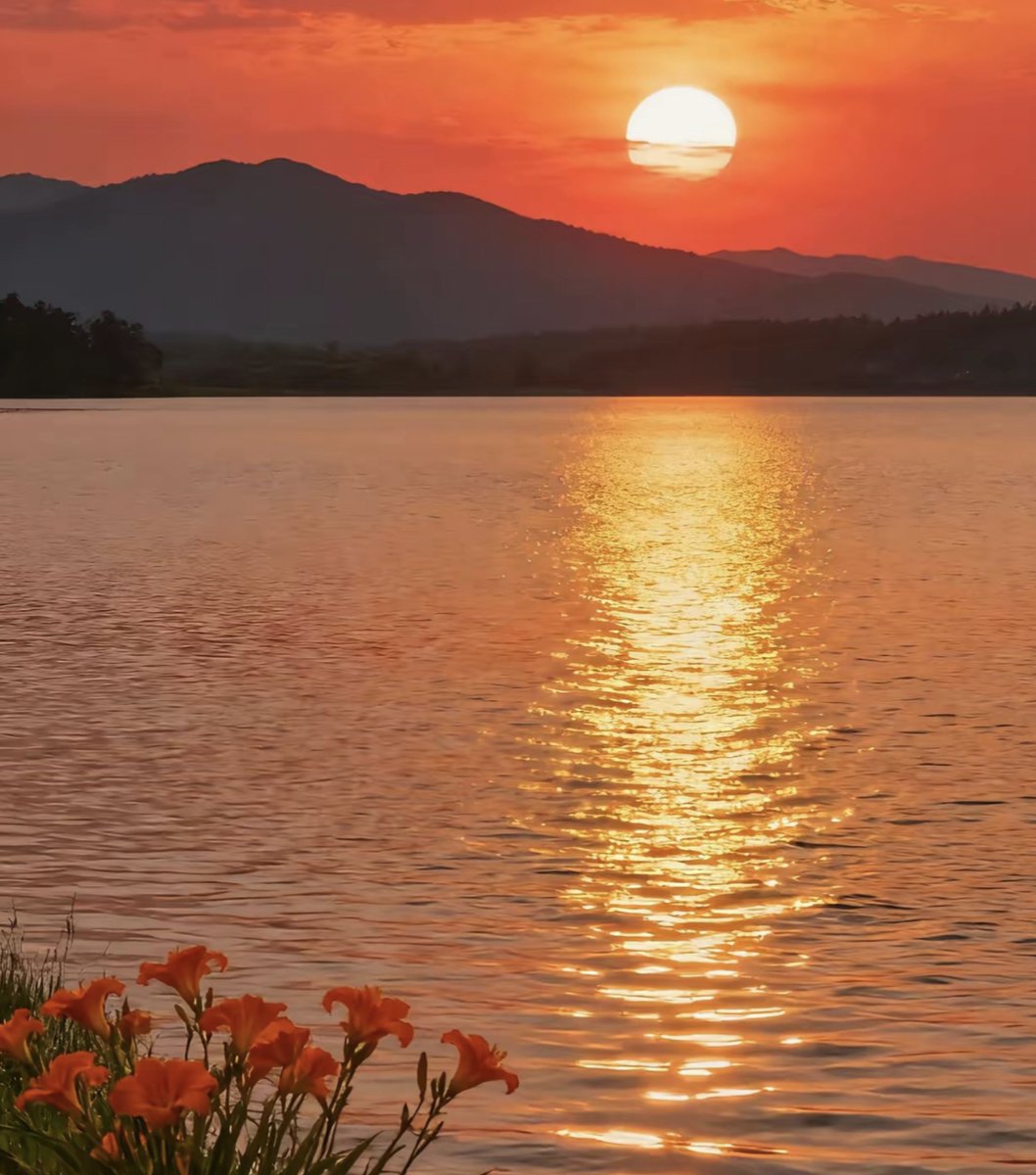 AuntFuss5's tweet photo. Join our campus photography club's sunset shoot this Fri at 6pm by the lake! Bring your camera (or phone) to capture golden hour vibes u0026 make new friends. RSVP via our group link!， https://t.co/7PHWMrCDaA