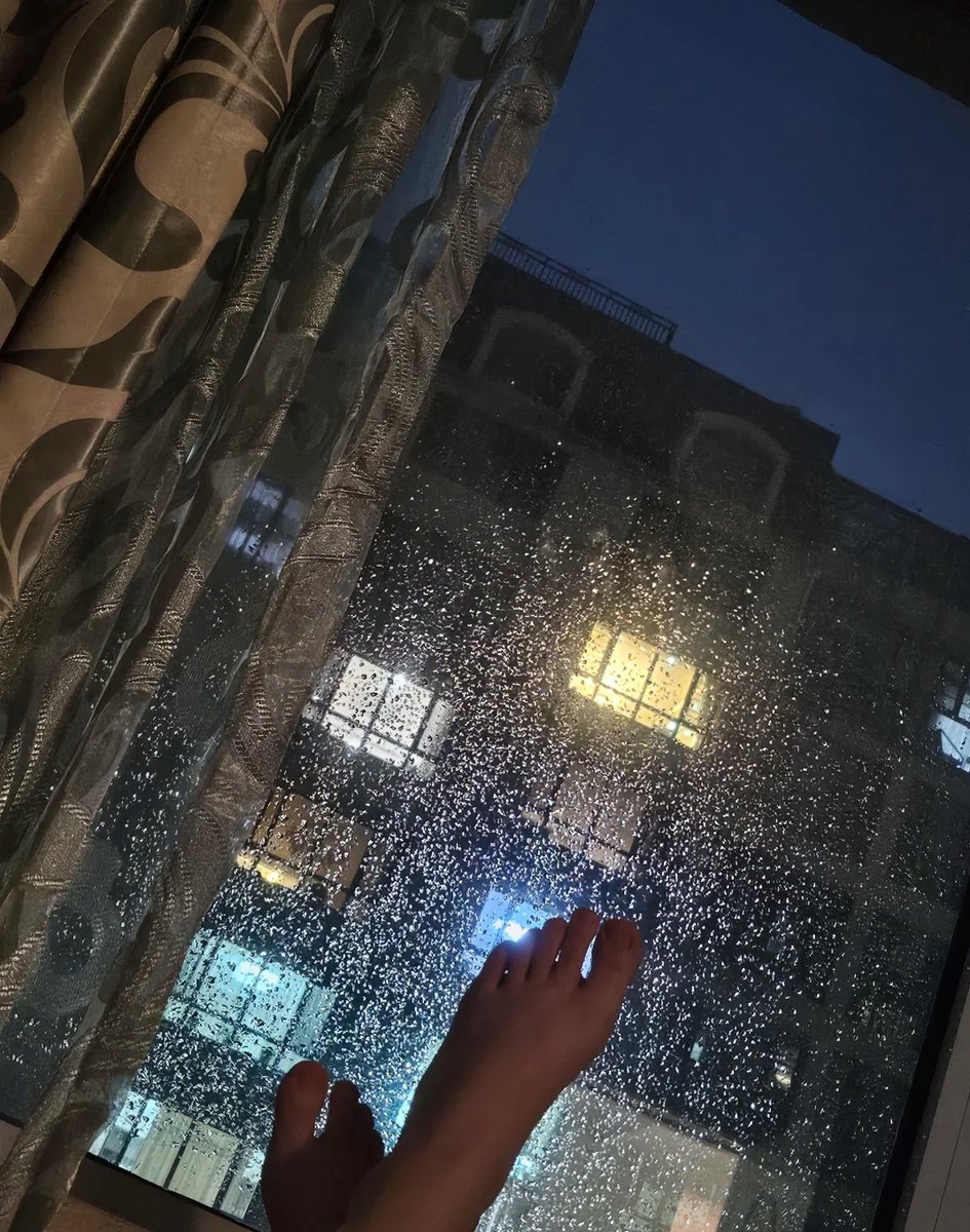 Rob85529383's tweet photo. Just finished folding laundry to the sound of rain tapping the window—small wins hit different on slow days.， https://t.co/A0bCq4An0q