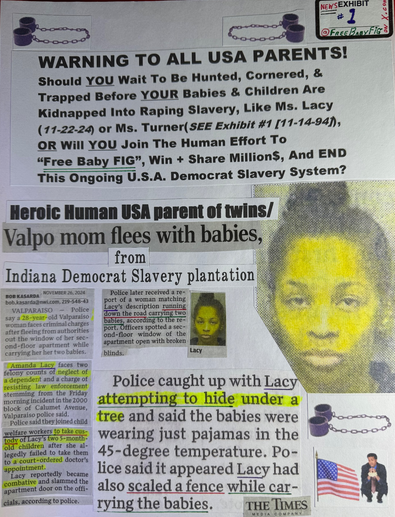 Devil_Democrats's tweet photo. TSE-#1844: My fellow HUMANS! There is still no update on the KIDNAPPING of 6yr old Baby FIG, she was criminally TAKEN from her mom by the racketeering State of Illinois, on November 9, 2020.

To help rescue Baby FIG, visit @FreeBabyFIG for more INFO about this grave story! https://t.co/QNYTtcOPN2