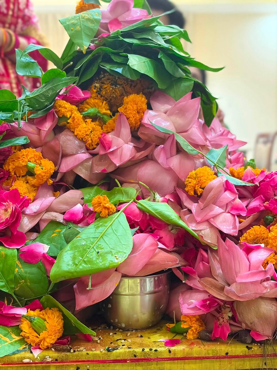 mSinghShashank's tweet photo. प्रणाम 🙏🏻

अनन्तं वासुकिं शेषं पद्मनाभं च कम्बलम्।
शङ्खपालं धृतराष्ट्रं तक्षकं कालियं तथा।।

पवित्र सावन मास की तृतीय सोमवार एवं नाग पंचमी के शुभ अवसर पर सपरिवार विधिवत रुद्राभिषेक कर भगवान शिव का आशीर्वाद प्राप्त किया । महादेव से सुख, शांति एवं आरोग्य की प्रार्थना की।

हर हर महादेव 🕉️