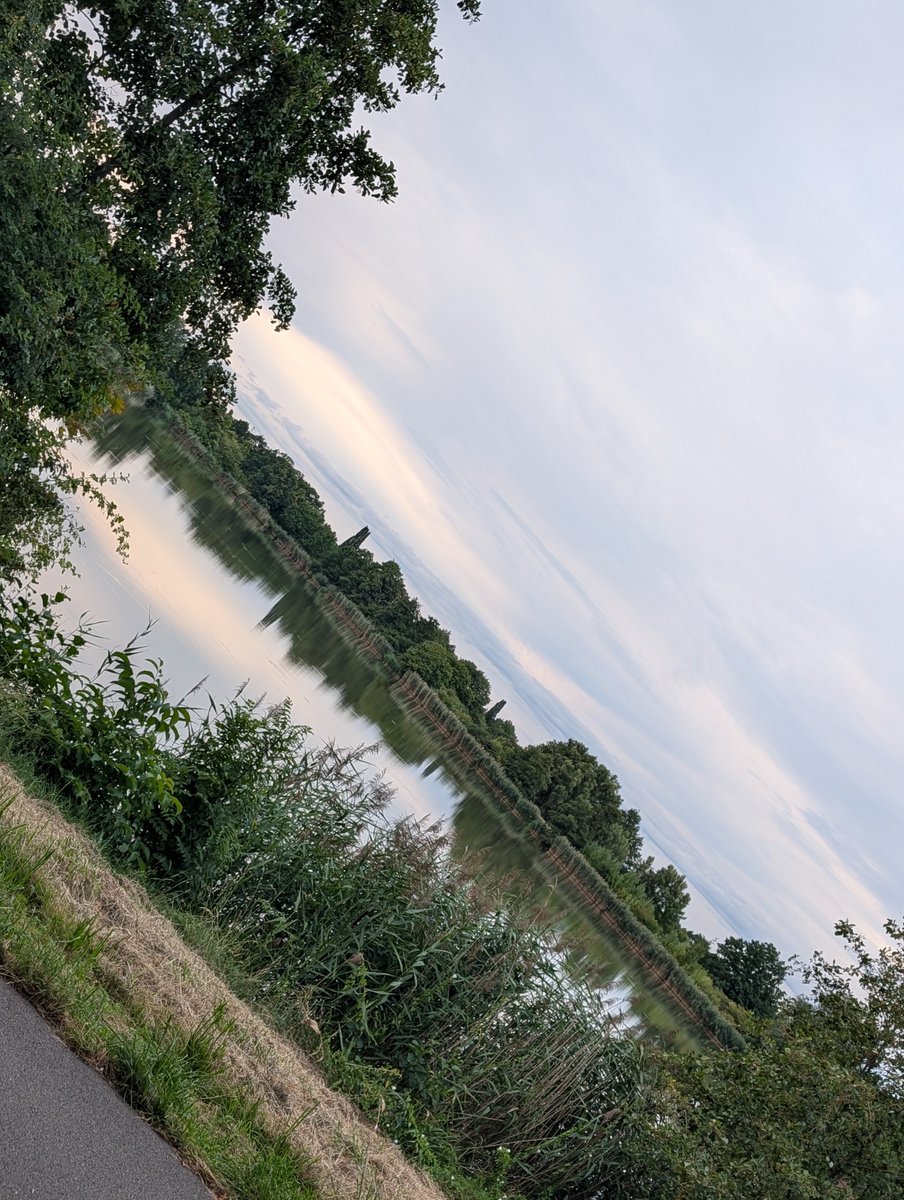RKoch28056's tweet photo. Gina unterwegs in Wolfsburg Niedersachsen Deutschland 🥰 https://t.co/Gu3f48GEPg