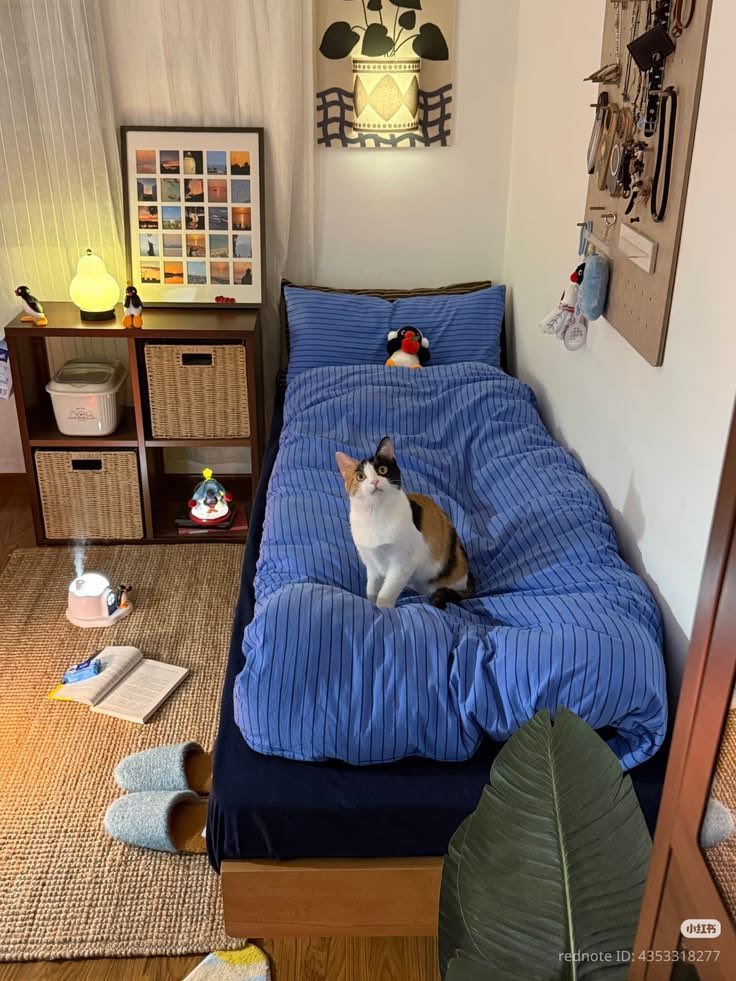 lunecrumbss's tweet photo. type of home you miss when you’re at work https://t.co/LGhFHMqTo7