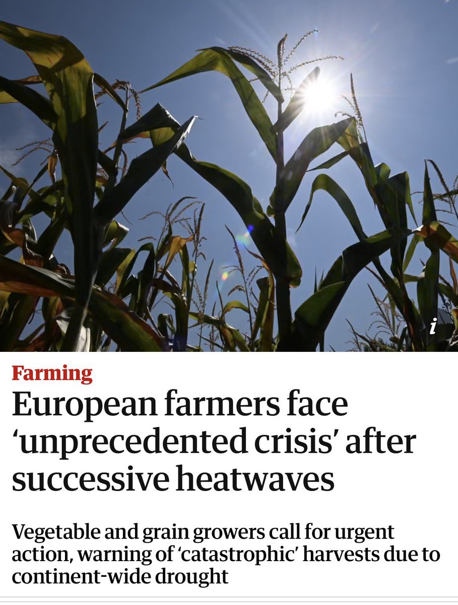ClimateDad77's tweet photo. Despairing at how absolutely nothing is being done to stop the climate crisis rapidly sliding into the“killing-each-other-over-the-last-loaf-of-bread” crisis. https://t.co/mVOylid1H3