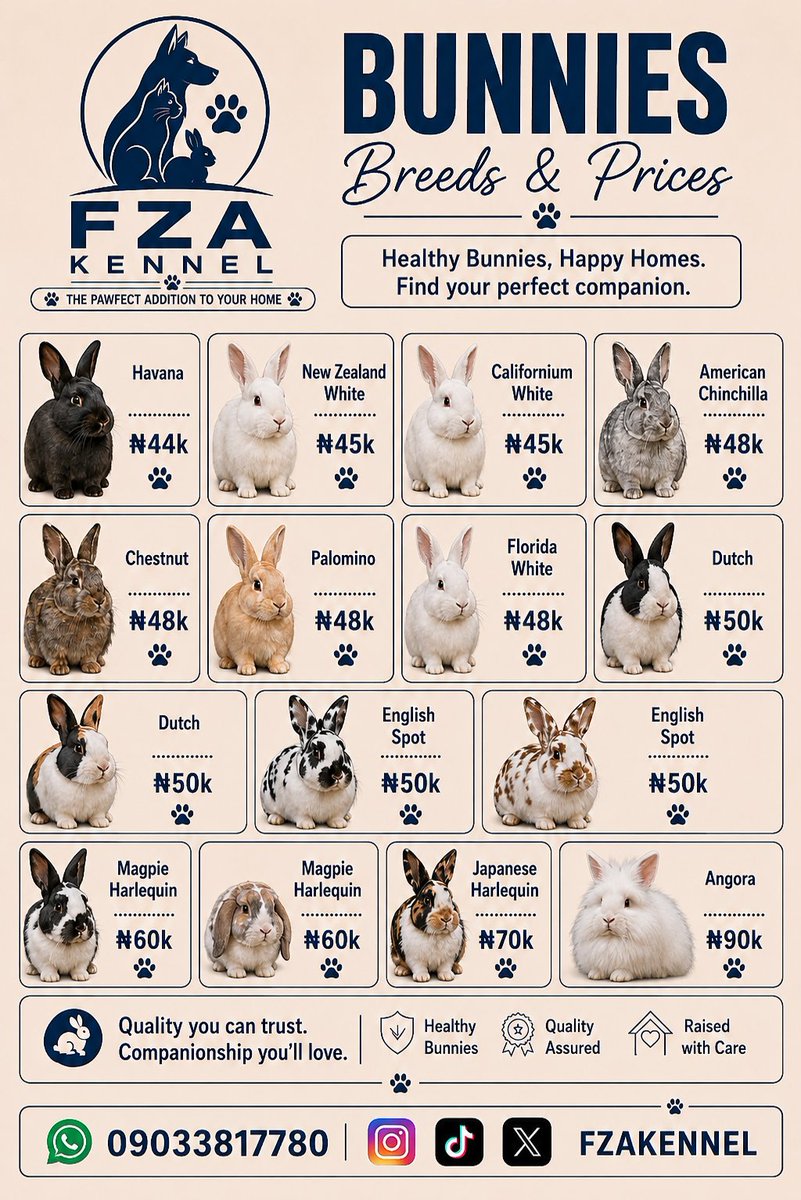 FZAkennel's tweet photo. To all our new followers looking to get Domestic and wildlife approved pets, we can help you get a companion. Follow @fzakennel to get an exotic pet of your choice. https://t.co/HkSxpm444r