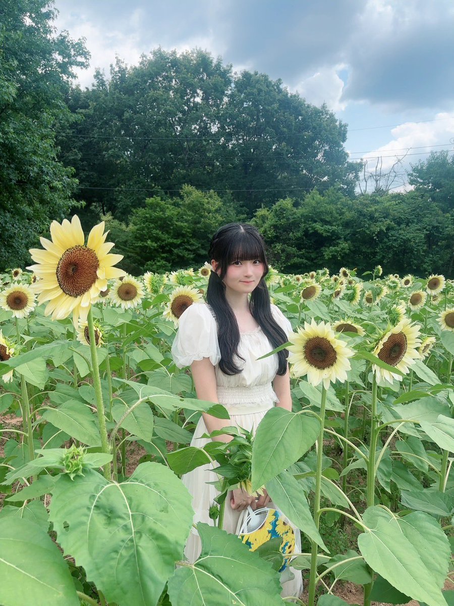 stu4th_official's tweet photo. こんにちは！井上久伶杏です！

先日向日葵畑にいってきました〜🌻
いっぱい咲いてて綺麗でした✨

 #井上久伶杏  #STU48_4期研究生  #向日葵 https://t.co/5yY63Vynyu