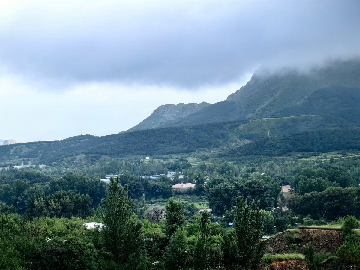 MoqeebHaider's tweet photo. Woke up to mountain air u0026 birdsong this morning—zero cell service, all soul recharge. This is why we camp. ， https://t.co/nLp9s9asxR