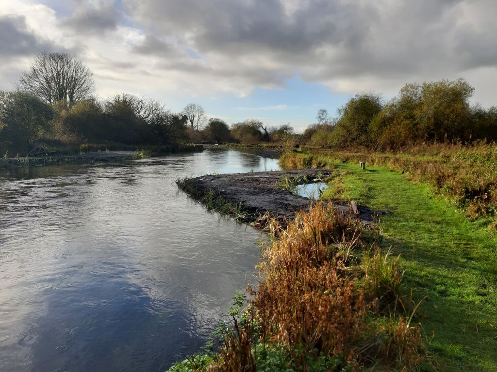 RjbullL's tweet photo. Berm creation is a simple but effective way to reshape how water moves through a site helping slow flows, guide channel behaviour, and create new habitat variation.

A key part of nature-based river and wetland design.

#RiverRestoration #Ecology #FloodManagement https://t.co/DUvBIctFD1
