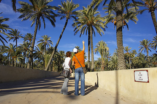 visitelche's tweet photo. ¡Descubre los 8 imperdibles del Palmeral de Elche y déjate envolver por el mayor oasis de Europa, Patrimonio Mundial de la UNESCO! Paseos entre palmeras milenarias, rutas sorprendentes, museos, y casas tradicionales.
https://t.co/kD0Nys0EPt
#Elche #palmeral #verano https://t.co/HRcW82nu1i